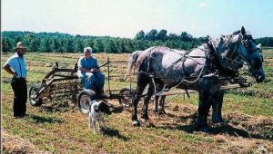 amish_village_5