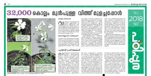 vithu